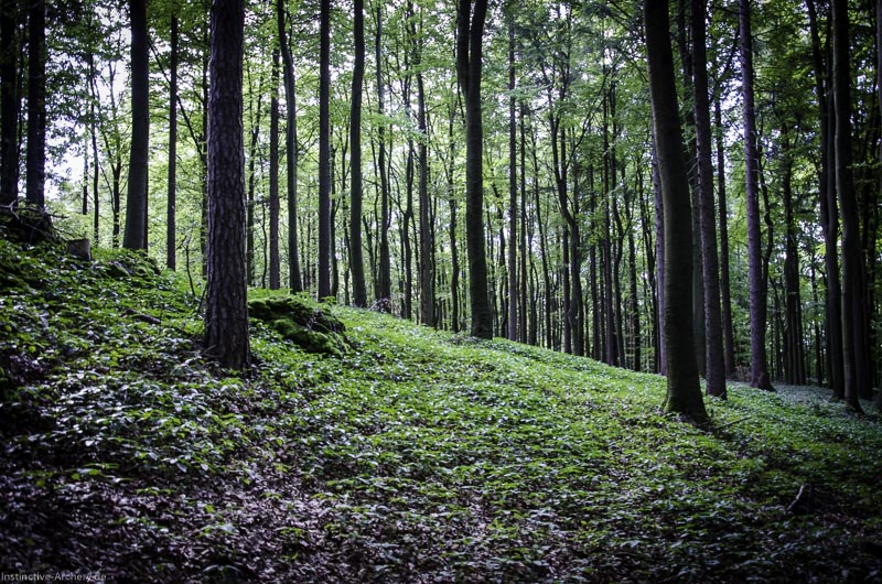 3D Bogenparcours am Geierfelsen in Pruppach 104-bogenschiessen I A 104 August 16 1288-bogenschiessen