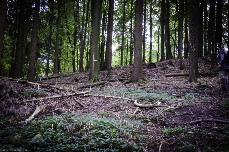 3D Bogenparcours am Geierfelsen in Pruppach 107-bogenschiessen I A 107 August 16 1291-bogenschiessen