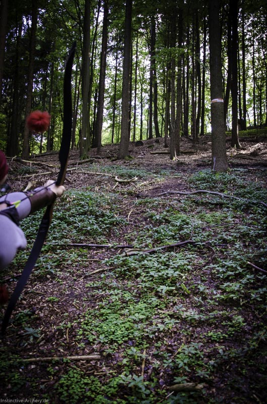 3D Bogenparcours am Geierfelsen in Pruppach 109-bogenschiessen I A 109 August 16 1293-bogenschiessen