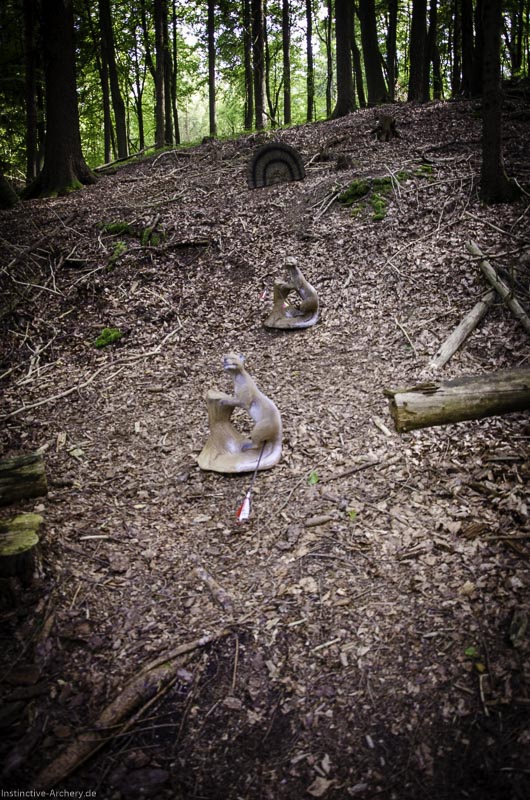 3D Bogenparcours am Geierfelsen in Pruppach 110-bogenschiessen I A 110 August 16 1294-bogenschiessen