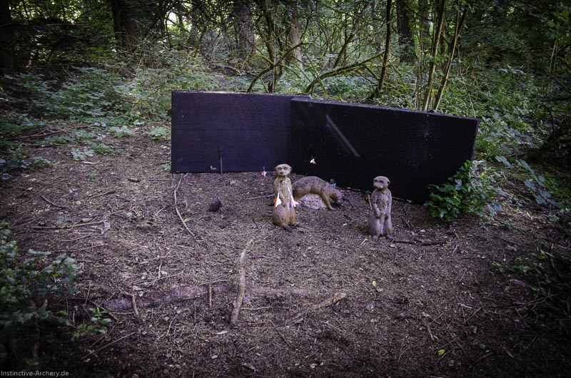 3D Bogenparcours am Geierfelsen in Pruppach 117-bogenschiessen I A 117 August 16 1303-bogenschiessen