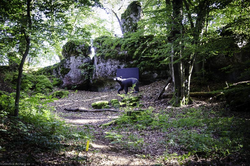 3D Bogenparcours am Geierfelsen in Pruppach 118-bogenschiessen I A 118 August 16 1304-bogenschiessen