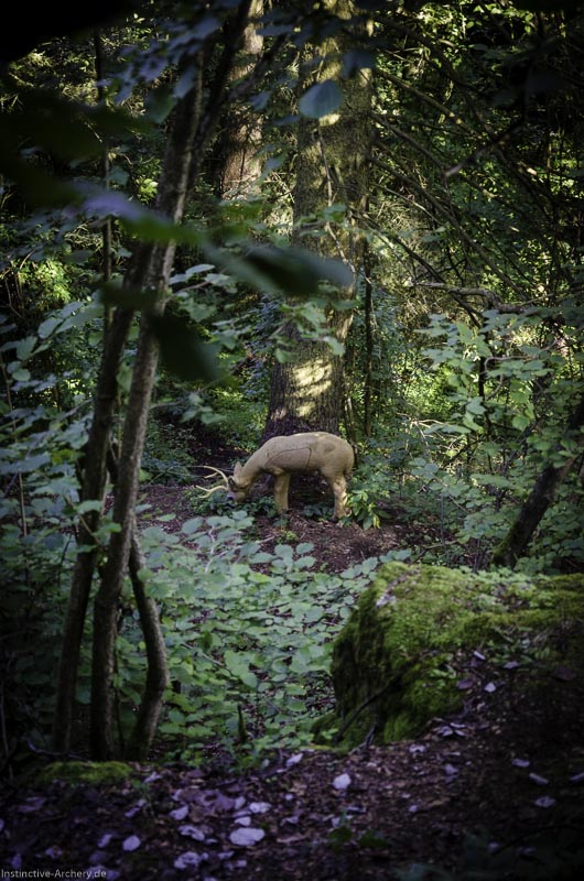 3D Bogenparcours am Geierfelsen in Pruppach 123-bogenschiessen I A 123 August 16 1310-bogenschiessen
