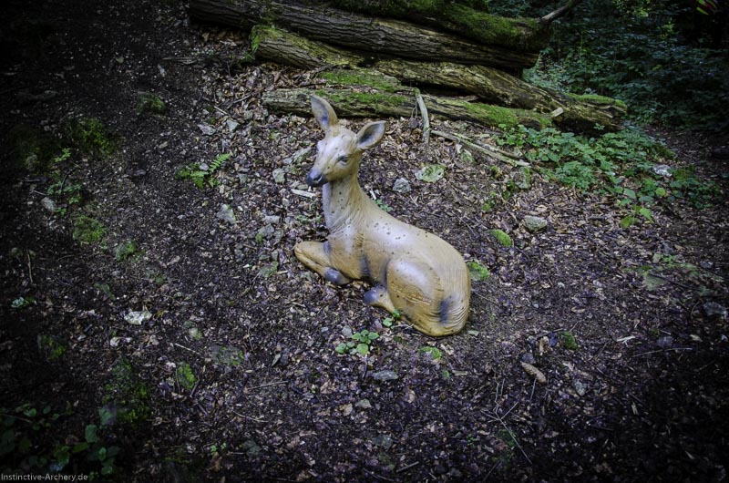 3D Bogenparcours am Geierfelsen in Pruppach 124-bogenschiessen I A 124 August 16 1311-bogenschiessen
