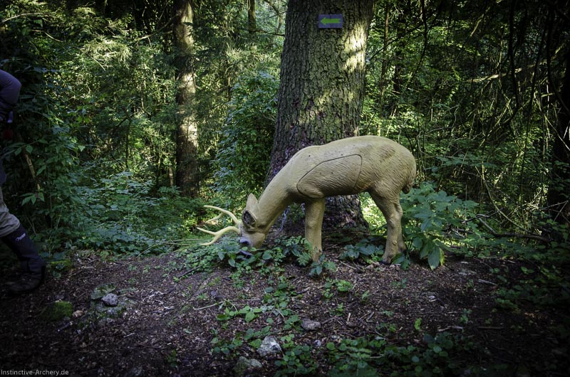 3D Bogenparcours am Geierfelsen in Pruppach 125-bogenschiessen I A 125 August 16 1312-bogenschiessen