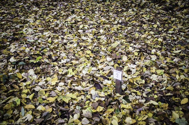 3D Bogenparcours der Camburger Bogenschützen 13-bogenschiessen I A 016 November 16 2-bogenschiessen