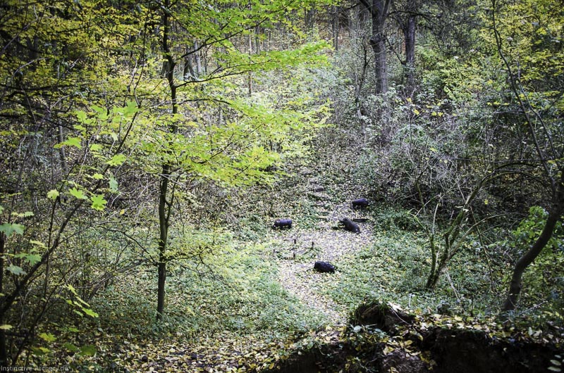 3D Bogenparcours der Camburger Bogenschützen 15-bogenschiessen I A 018 November 16 2-bogenschiessen