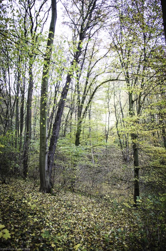 3D Bogenparcours der Camburger Bogenschützen 16-bogenschiessen I A 022 November 16 2-bogenschiessen