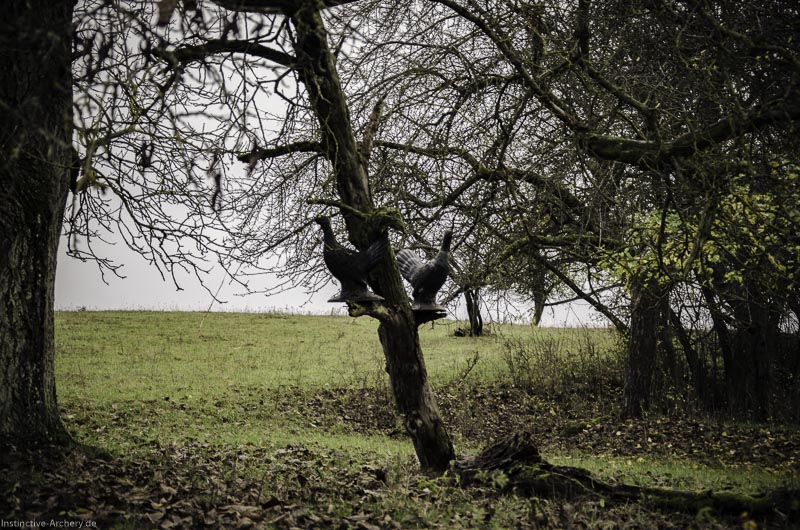 12. Ummerstadter Winterrunde - 1. Turnier 24-bogenschiessen I A 024 November 16 2 1-bogenschiessen