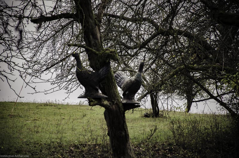 12. Ummerstadter Winterrunde - 1. Turnier 25-bogenschiessen I A 025 November 16 2 1-bogenschiessen