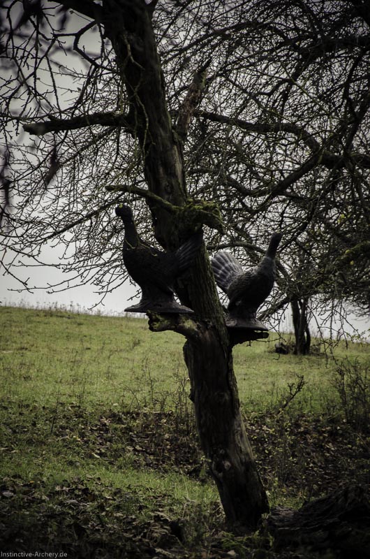 12. Ummerstadter Winterrunde - 1. Turnier 26-bogenschiessen I A 026 November 16 2 1-bogenschiessen