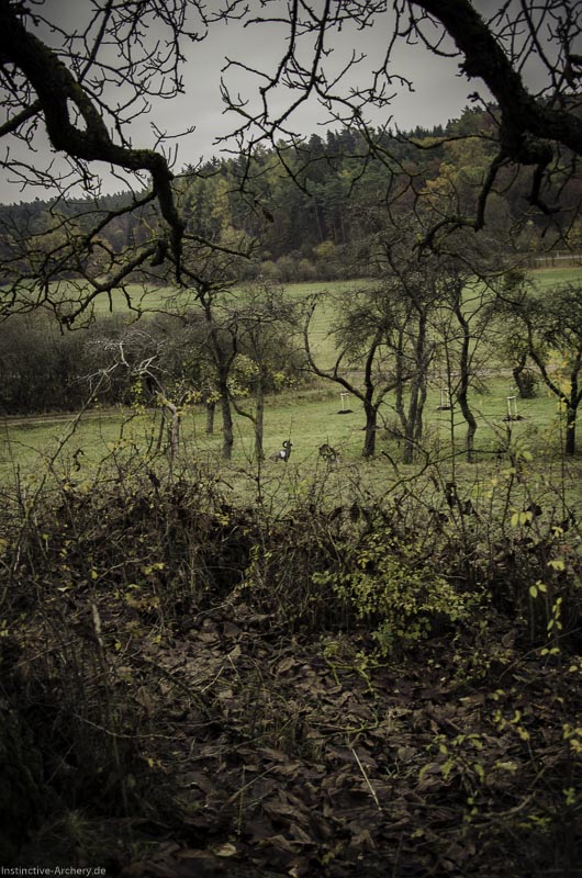 12. Ummerstadter Winterrunde - 1. Turnier 32-bogenschiessen I A 032 November 16 2-bogenschiessen
