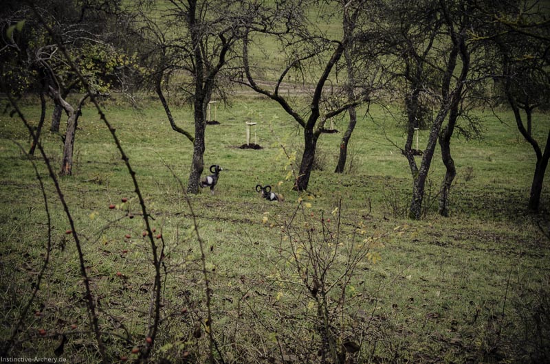 12. Ummerstadter Winterrunde - 1. Turnier 33-bogenschiessen I A 033 November 16 2 1-bogenschiessen