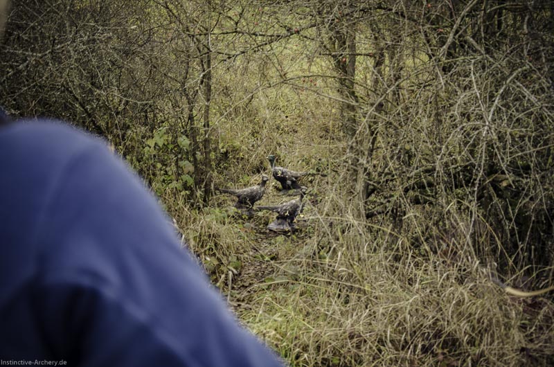 12. Ummerstadter Winterrunde - 1. Turnier 42-bogenschiessen I A 042 November 16 2 1-bogenschiessen