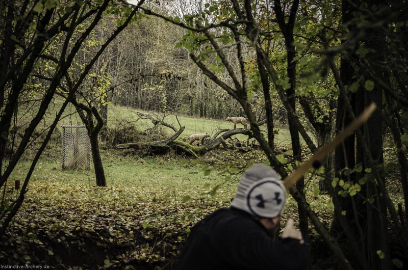 12. Ummerstadter Winterrunde - 1. Turnier 54-bogenschiessen I A 054 November 16 2 1-bogenschiessen