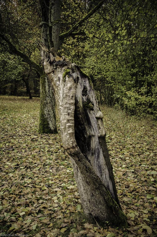 12. Ummerstadter Winterrunde - 1. Turnier 57-bogenschiessen I A 057 November 16 2 1-bogenschiessen