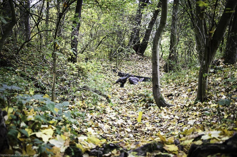 3D Bogenparcours der Camburger Bogenschützen 42-bogenschiessen I A 057 November 16 2-bogenschiessen