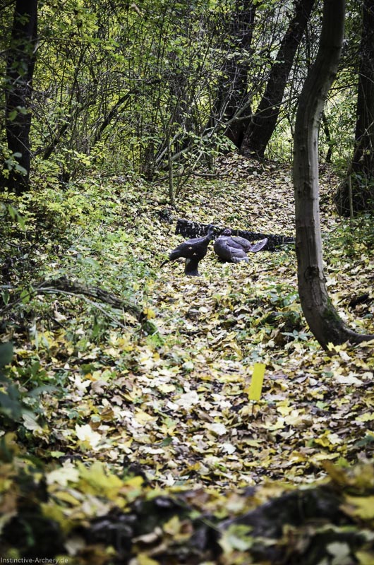 3D Bogenparcours der Camburger Bogenschützen 43-bogenschiessen I A 059 November 16 2-bogenschiessen