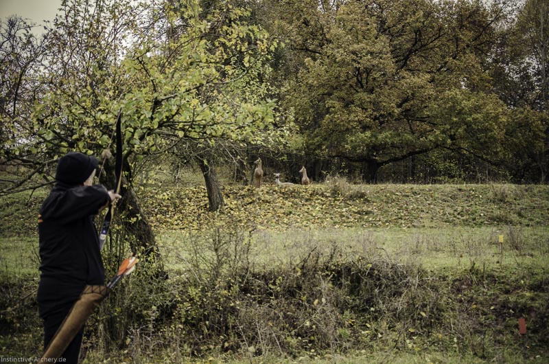 12. Ummerstadter Winterrunde - 1. Turnier 60-bogenschiessen I A 060 November 16 2-bogenschiessen