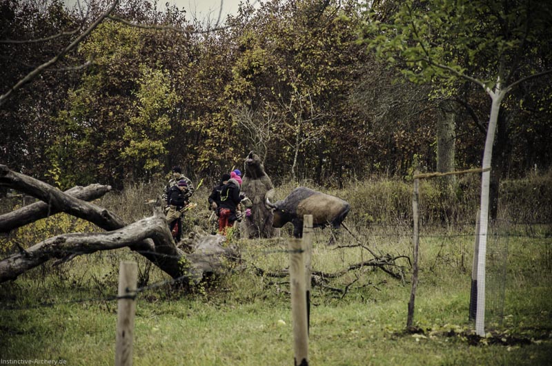 12. Ummerstadter Winterrunde - 1. Turnier 64-bogenschiessen I A 064 November 16 2-bogenschiessen