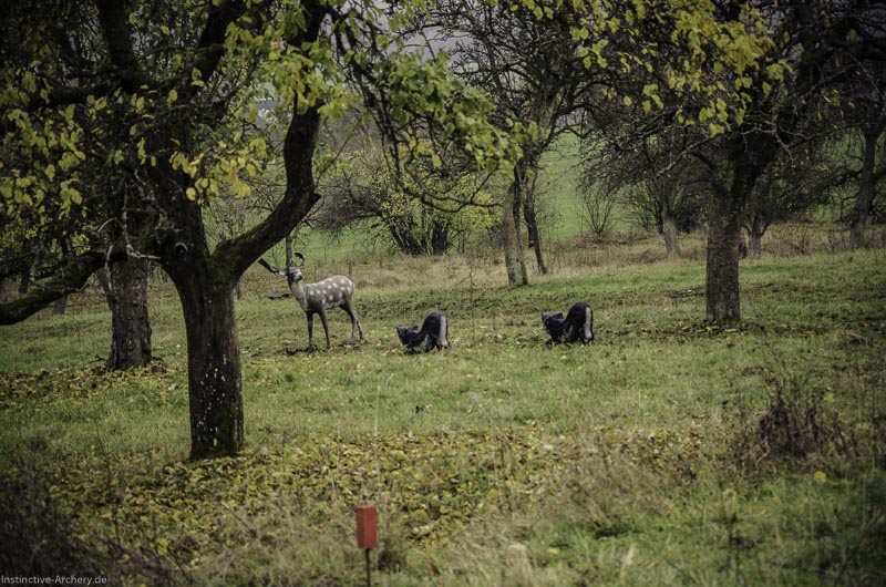 12. Ummerstadter Winterrunde - 1. Turnier 66-bogenschiessen I A 066 November 16 2 1-bogenschiessen