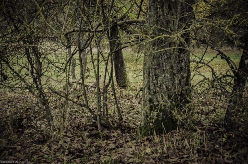 12. Ummerstadter Winterrunde - 1. Turnier 67-bogenschiessen I A 067 November 16 2-bogenschiessen