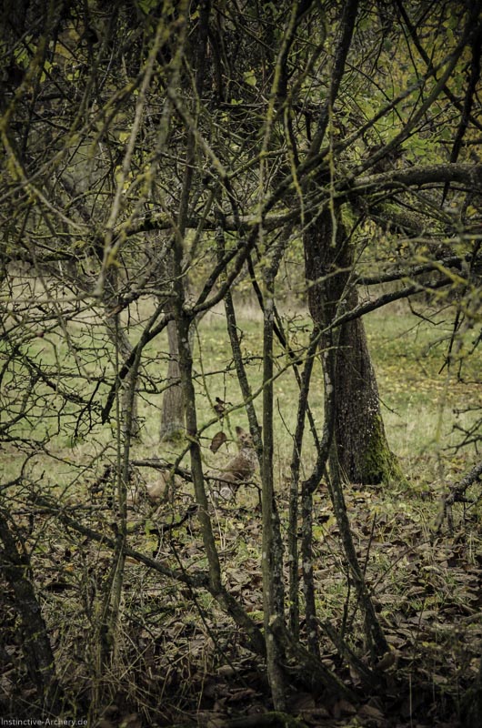 12. Ummerstadter Winterrunde - 1. Turnier 68-bogenschiessen I A 068 November 16 2-bogenschiessen
