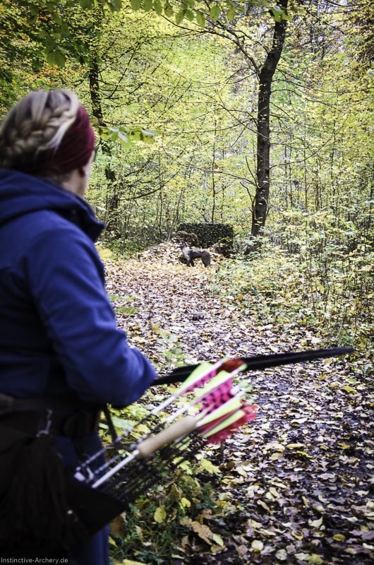 3D Bogenparcours der Camburger Bogenschützen 48-bogenschiessen I A 070 November 16 2-bogenschiessen