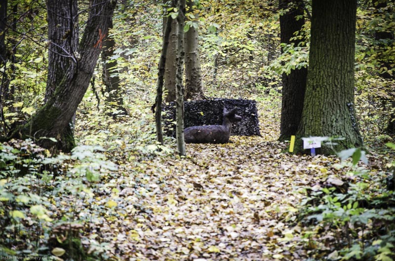 3D Bogenparcours der Camburger Bogenschützen 50-bogenschiessen I A 073 November 16 2-bogenschiessen