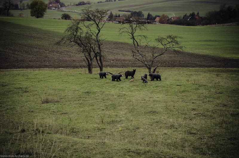12. Ummerstadter Winterrunde - 1. Turnier 76-bogenschiessen I A 076 November 16 2 1-bogenschiessen