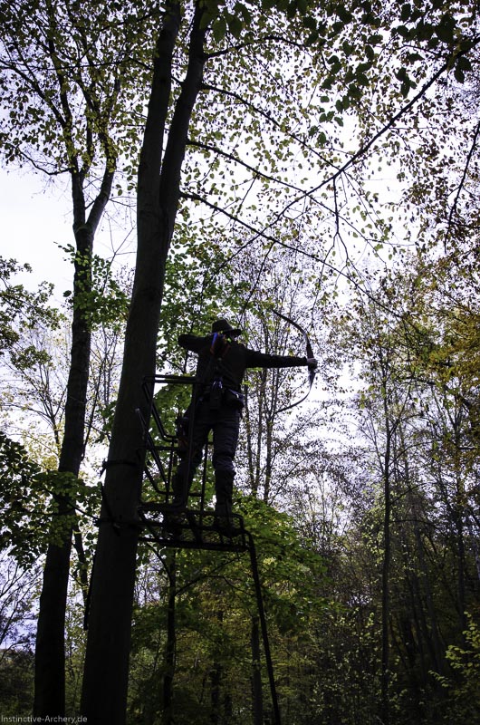 3D Bogenparcours der Camburger Bogenschützen 54-bogenschiessen I A 080 November 16 2-bogenschiessen