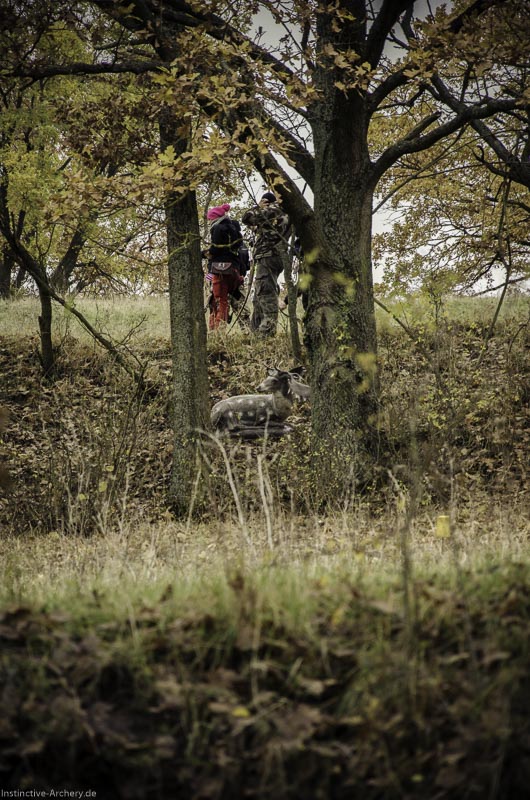 12. Ummerstadter Winterrunde - 1. Turnier 83-bogenschiessen I A 083 November 16 2-bogenschiessen
