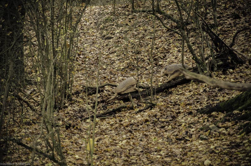12. Ummerstadter Winterrunde - 1. Turnier 84-bogenschiessen I A 084 November 16 2-bogenschiessen
