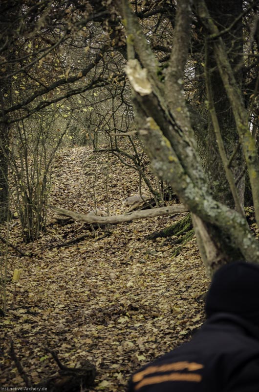 12. Ummerstadter Winterrunde - 1. Turnier 85-bogenschiessen I A 085 November 16 2-bogenschiessen