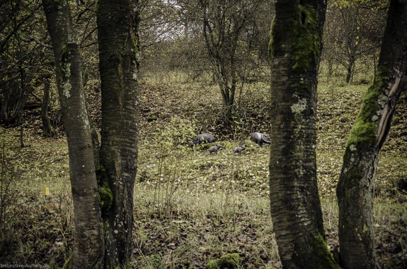 12. Ummerstadter Winterrunde - 1. Turnier 93-bogenschiessen I A 093 November 16 2 1-bogenschiessen