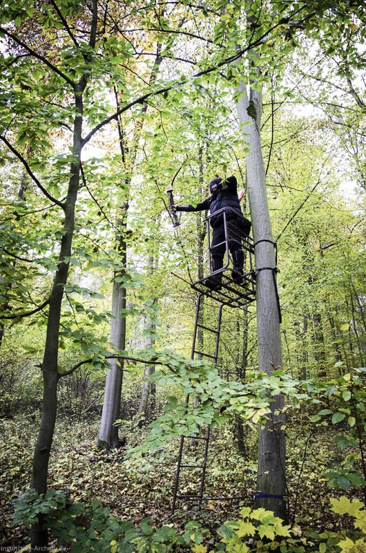 3D Bogenparcours der Camburger Bogenschützen 57-bogenschiessen I A 093 November 16 2-bogenschiessen