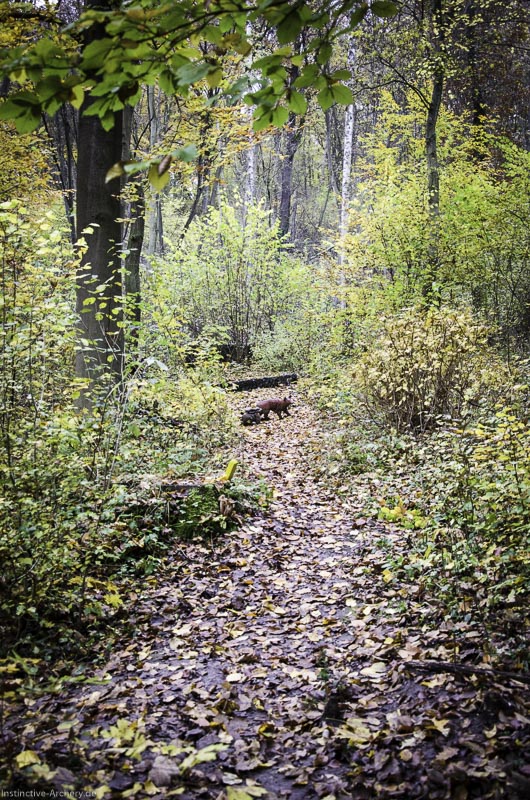 3D Bogenparcours der Camburger Bogenschützen 58-bogenschiessen I A 094 November 16 2-bogenschiessen