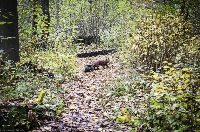 3D Bogenparcours der Camburger Bogenschützen 60-bogenschiessen I A 096 November 16 2-bogenschiessen