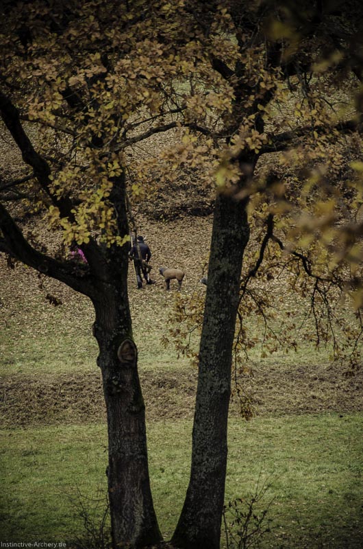 12. Ummerstadter Winterrunde - 1. Turnier 97-bogenschiessen I A 097 November 16 2 1-bogenschiessen