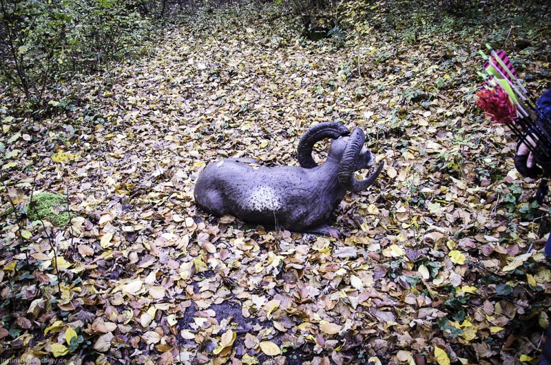 3D Bogenparcours der Camburger Bogenschützen 61-bogenschiessen I A 097 November 16 2-bogenschiessen