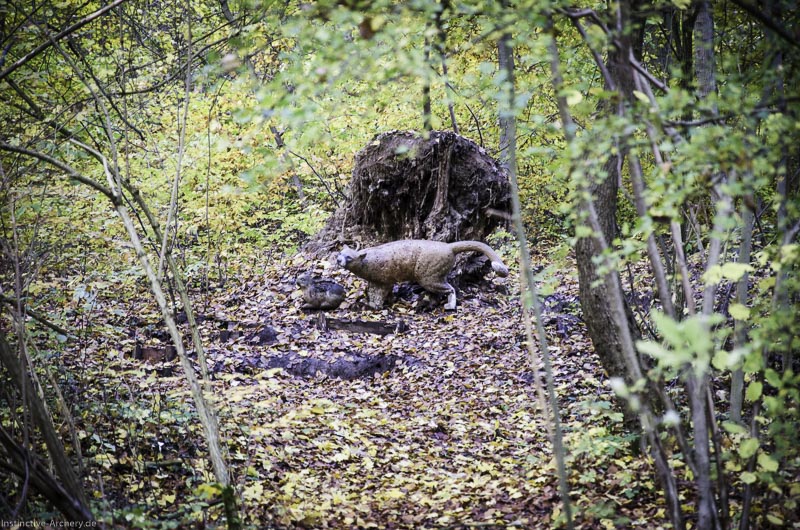 3D Bogenparcours der Camburger Bogenschützen 62-bogenschiessen I A 098 November 16 2-bogenschiessen