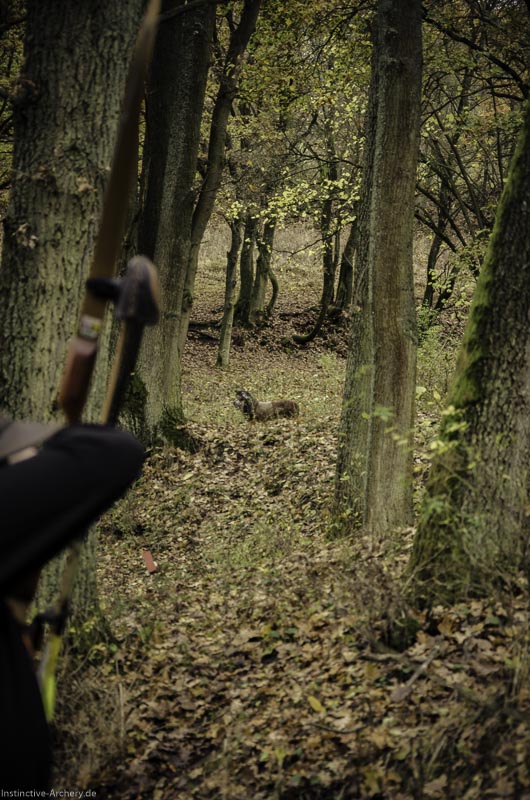 12. Ummerstadter Winterrunde - 1. Turnier 106-bogenschiessen I A 106 November 16 2 1-bogenschiessen