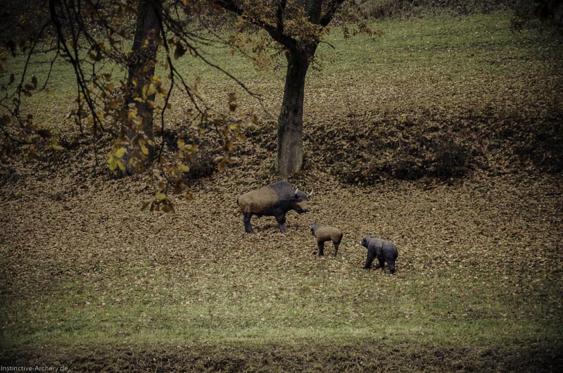 12. Ummerstadter Winterrunde - 1. Turnier 108-bogenschiessen I A 108 November 16 2-bogenschiessen