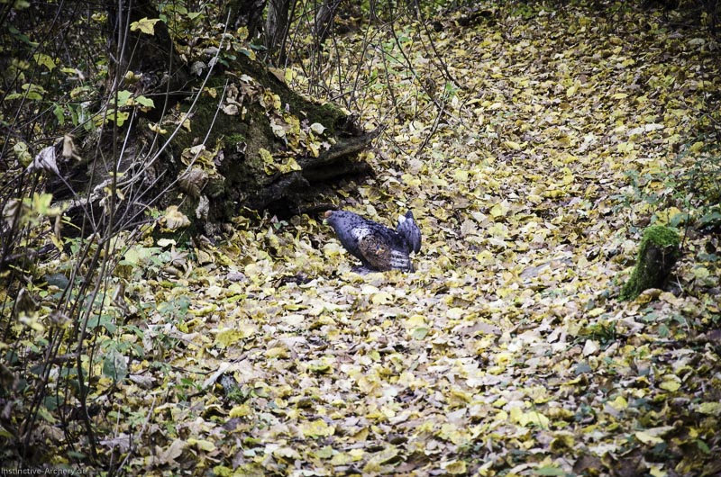 3D Bogenparcours der Camburger Bogenschützen 69-bogenschiessen I A 110 November 16 2-bogenschiessen
