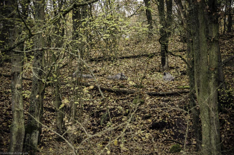 12. Ummerstadter Winterrunde - 1. Turnier 111-bogenschiessen I A 111 November 16 2 1-bogenschiessen