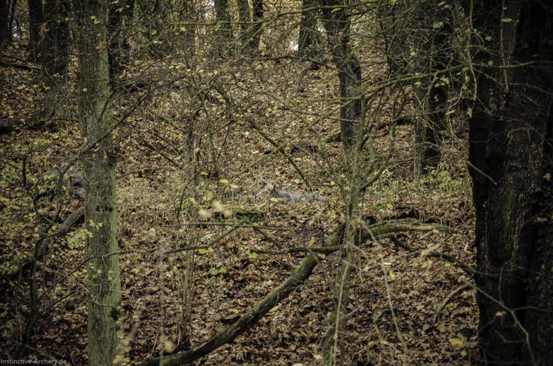 12. Ummerstadter Winterrunde - 1. Turnier 112-bogenschiessen I A 112 November 16 2 1-bogenschiessen