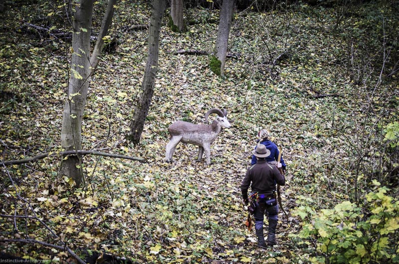 3D Bogenparcours der Camburger Bogenschützen 71-bogenschiessen I A 112 November 16 2-bogenschiessen