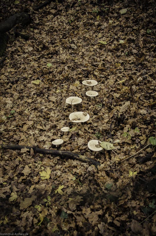 12. Ummerstadter Winterrunde - 1. Turnier 114-bogenschiessen I A 114 November 16 2 1-bogenschiessen