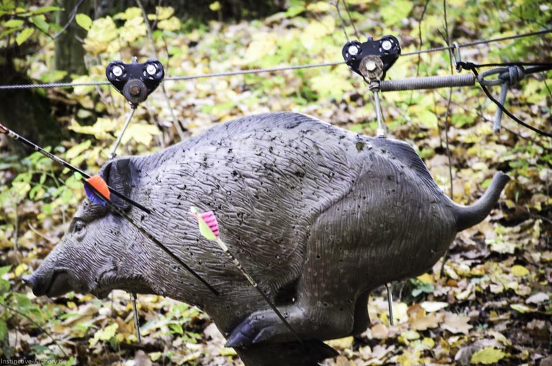3D Bogenparcours der Camburger Bogenschützen 75-bogenschiessen I A 116 November 16 2-bogenschiessen