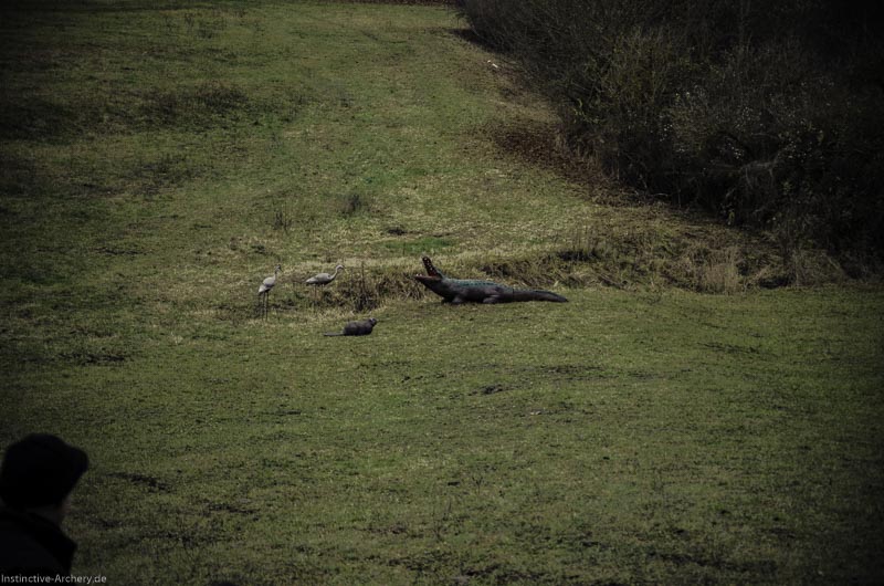 12. Ummerstadter Winterrunde - 1. Turnier 117-bogenschiessen I A 117 November 16 2 1-bogenschiessen
